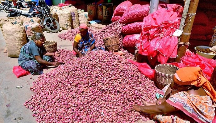 Onion Price