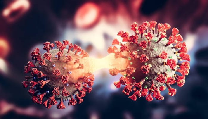 Covid Cases in India