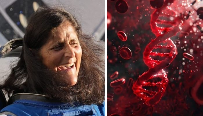 Sunita Williams Astronaut