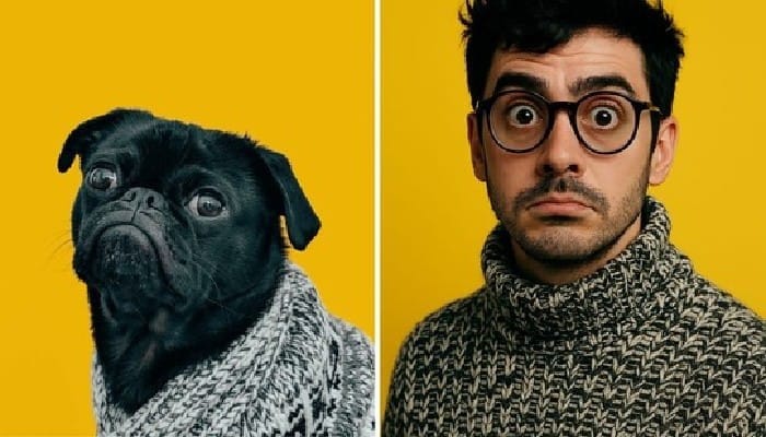 AI Pet Transformation