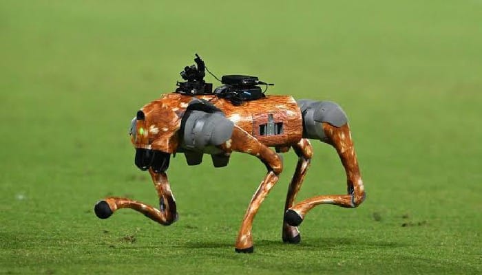 IPL 2025 Robot Dog