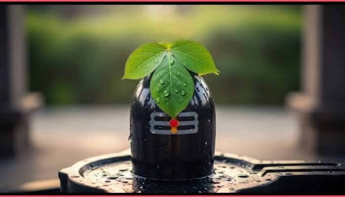 Importance of Belpatra