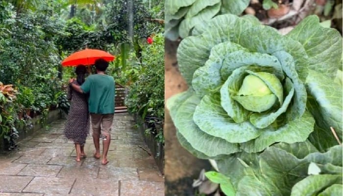 Zero Cost Living House