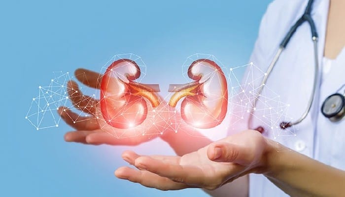 Kidney Health