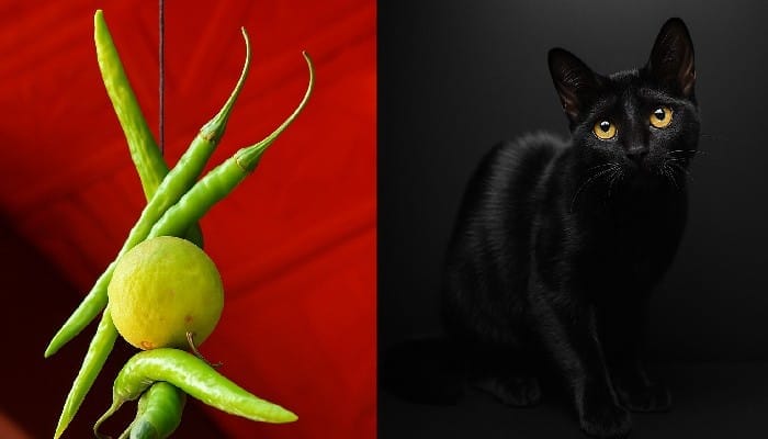 Superstitions of India