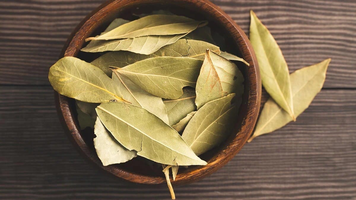 Bay Leaf Under Pillow