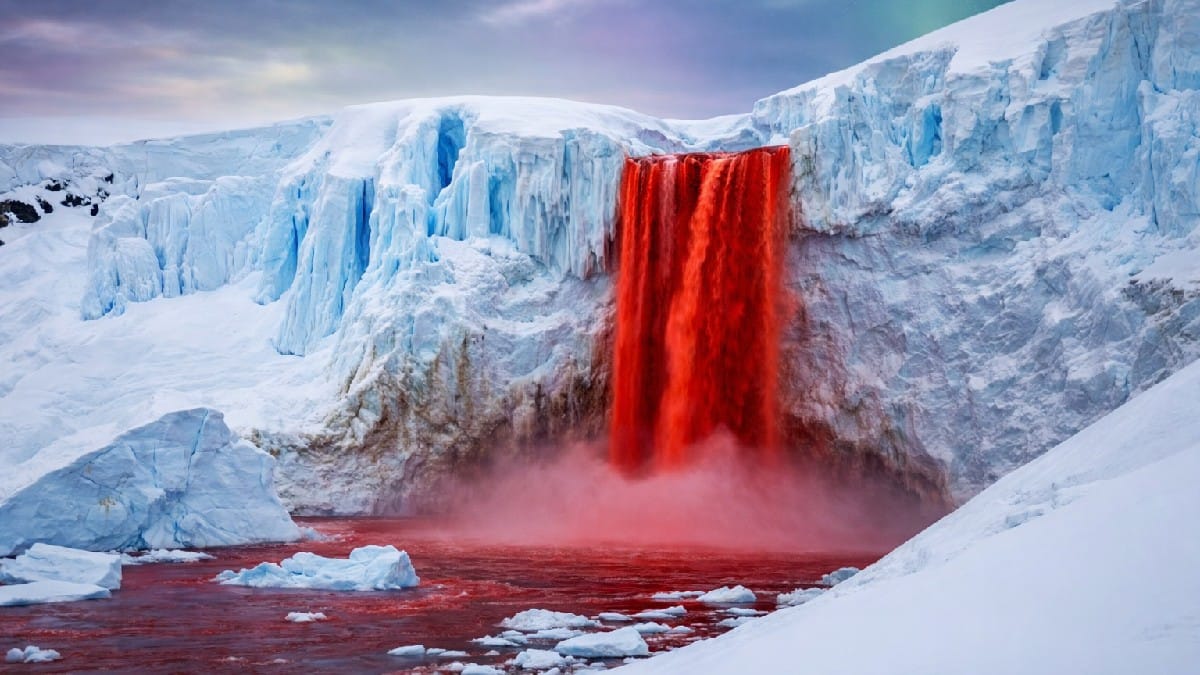 Blood Falls Mystery Solved