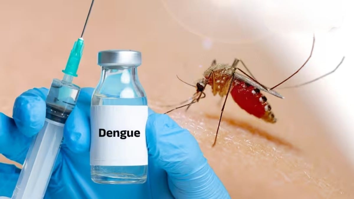Dengue Vaccine