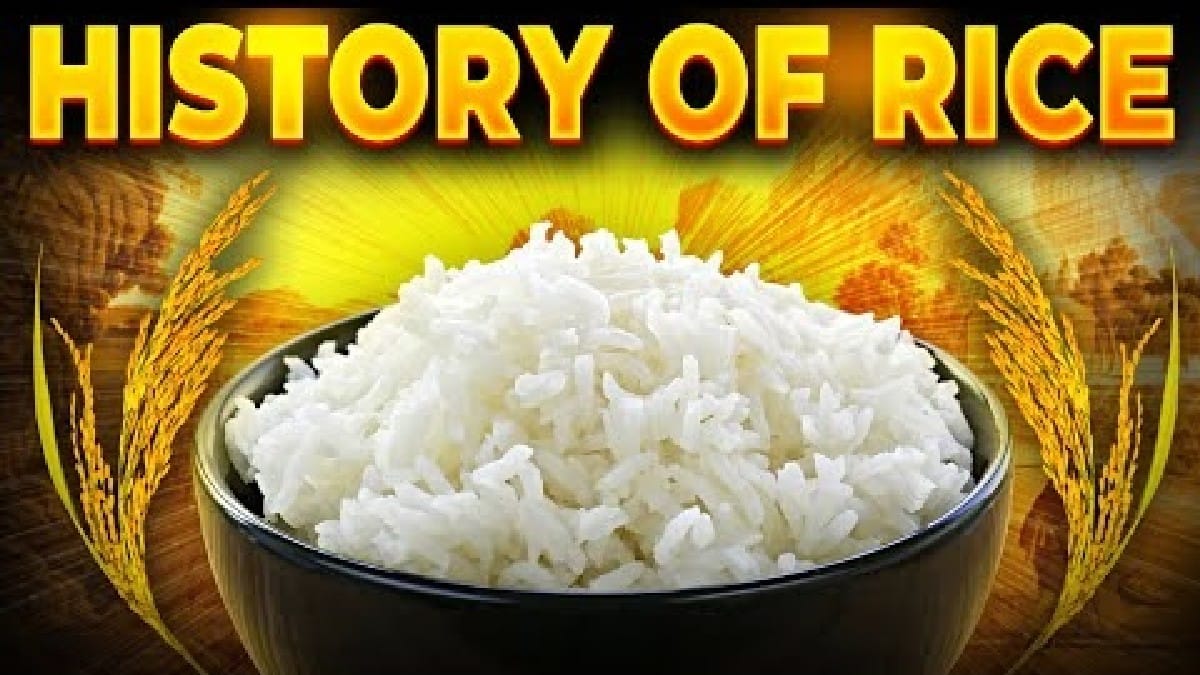 History of Rice